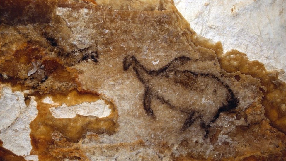 One of the penguins from Cosquer. Source: BBC